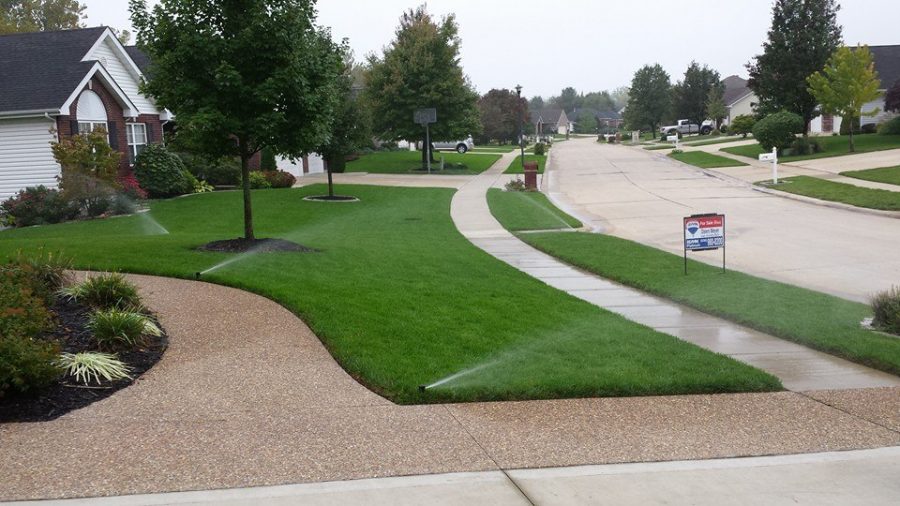 10151336_733867990037559_5930463900269317459_n